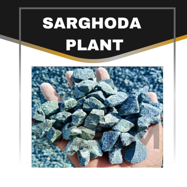 Sarghoda Plant