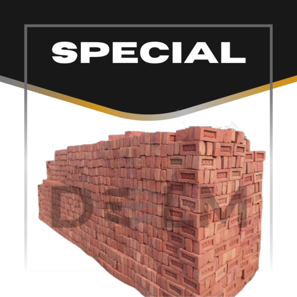 Special Bricks